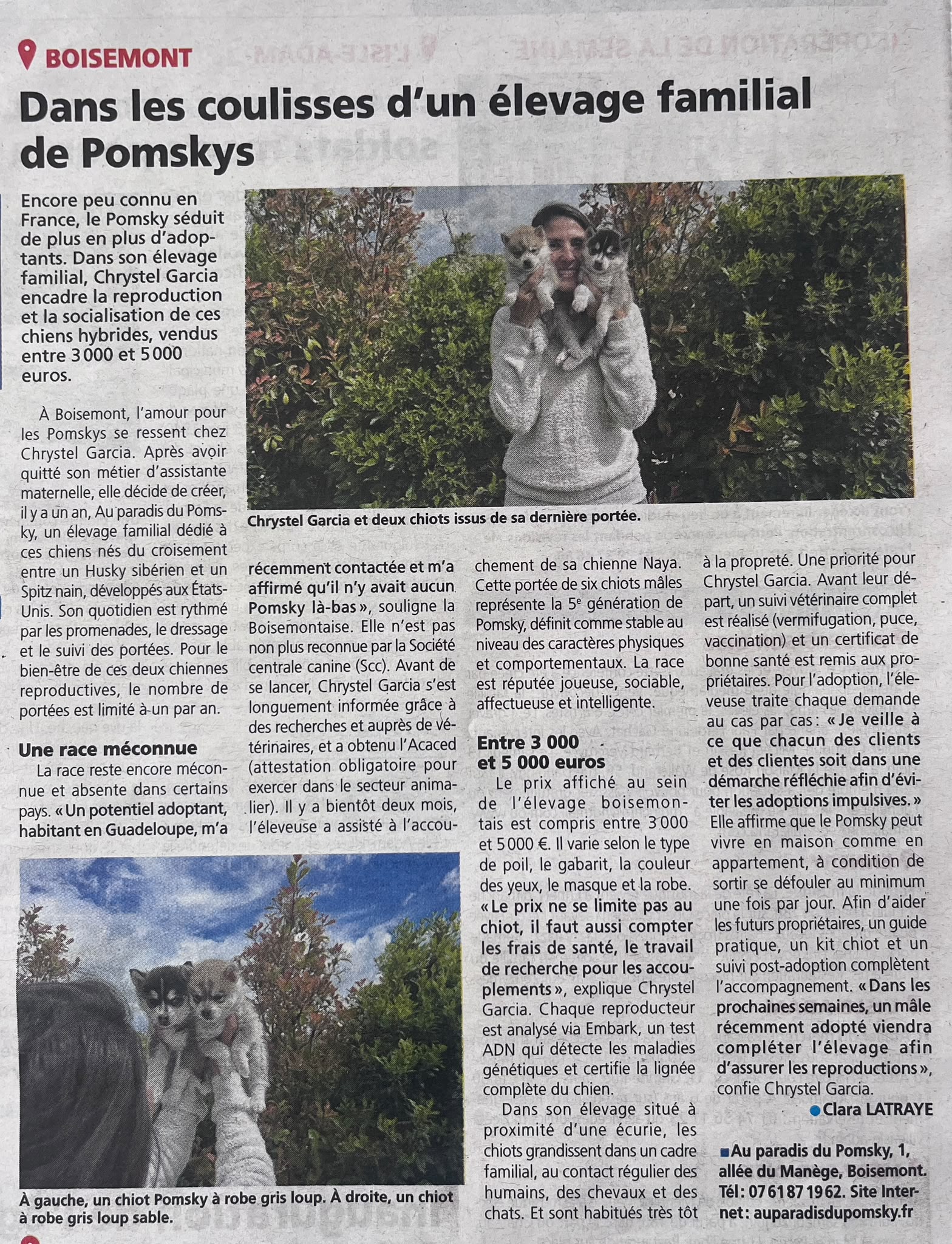 Article de presse — Au Paradis du Pomsky dans le journal local