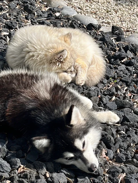 Tiana et Naya ensemble